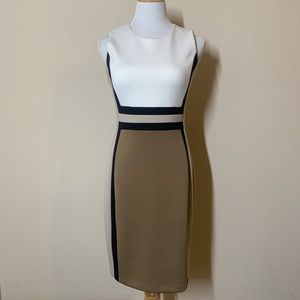 NWT Calvin Klein Colorblock Shealth Dress